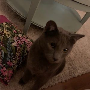 Meet your Posher, Leigh